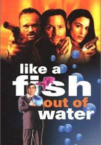 Come un pesce fuor d'acqua